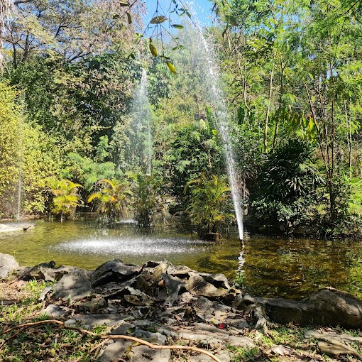 Parque Rapahel Lazzuri